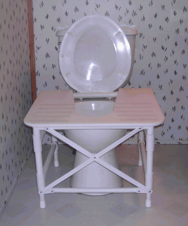 Illustration for article titled The Long, Unglamorous History of the Toilet